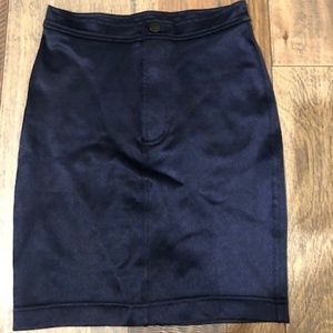 American Apparel Disco Skirt - WORN 3X